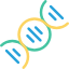 Dna