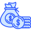 Money bag