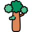 Baobab