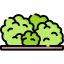 Bushes