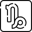 Capricorn