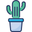 Кактус