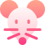 Mice