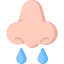 Runny nose