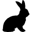 Rabbit shape