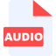 Audio