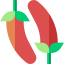 Chilli