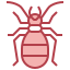 Bug