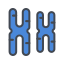 Chromosome