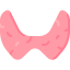 Thyroid