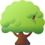 Oak