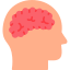 Brain