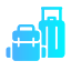 Luggage