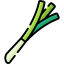 Spring onion