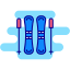 Ski
