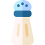 Salt