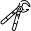 Forceps