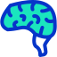 Мозг