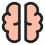 Brain