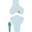 Joint