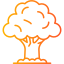 Oak