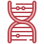 Dna structure