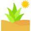 Agave