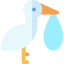 Stork