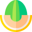 Melon