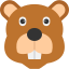 Beaver