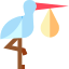 Stork