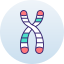 Chromosome