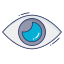 Eye