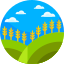 Field
