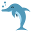 Dolphin
