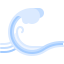 Wave