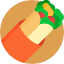 Burrito