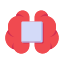 Brain