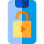 Lock phone
