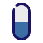 Capsule
