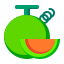 Melon