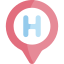 Pin