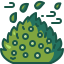 Bush