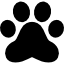 Отпечаток лапы