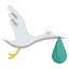 Stork