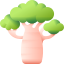 Baobab
