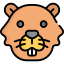 Beaver