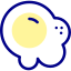 Fried egg