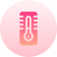 Thermometer