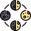 Moon phase